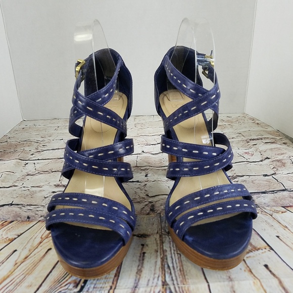 Ugg Shoes - Ugg Blue Strappy Platform Heel Sandals EUC 9